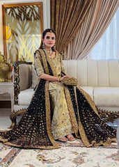 Sumbul Iqbal - Haris Shakeel