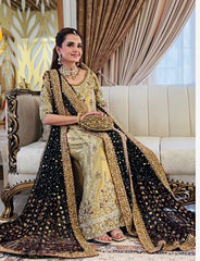 Sumbul Iqbal - Haris Shakeel