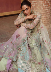 Crimson D7 Rangoli -- JHILMIL Wedding Unstitched