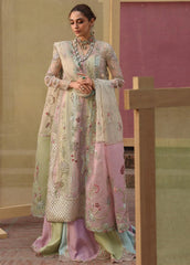 Crimson D7 Rangoli -- JHILMIL Wedding Unstitched