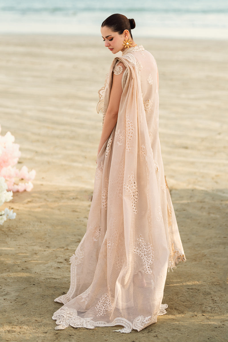 SOPHIA - QALAMKAR