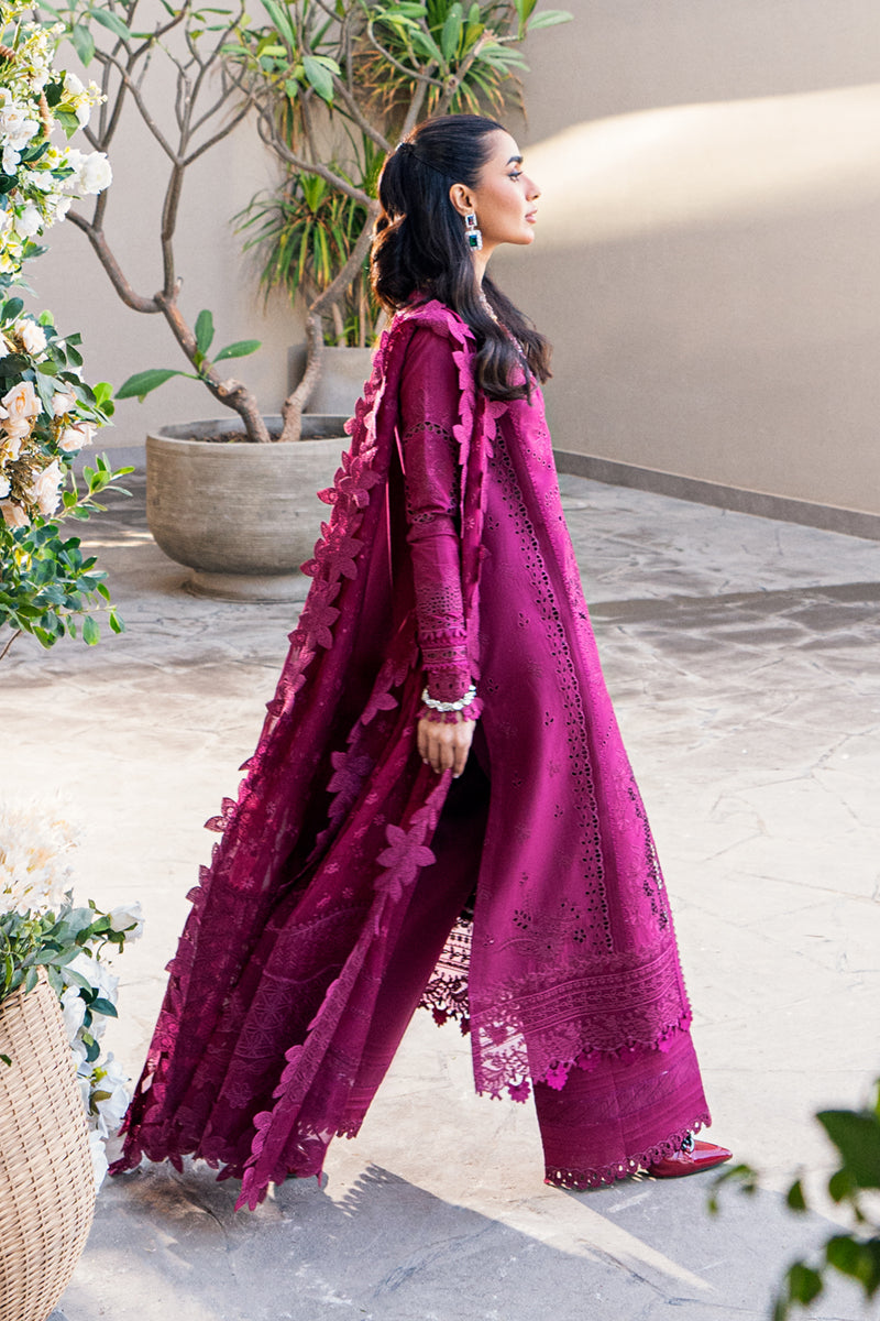 VIOLET - QALAMKAR